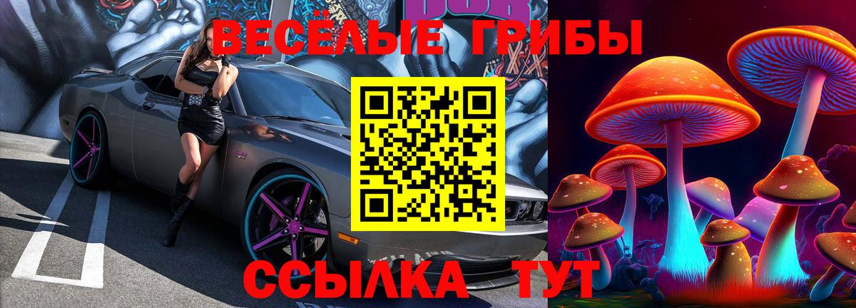 хочу наркоту  Псилоцибиновые грибы Cubensis  Новокубанск  Вход с VPN  Галлюциногенные грибы Psilocybine cubensis 