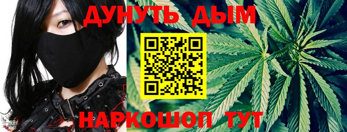 Шишки марихуана сатива Новокубанск